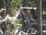 DSCF4152.JPG