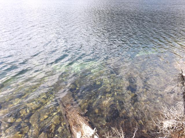 DSCF4142.JPG
