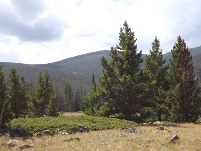 DSCF4199.JPG