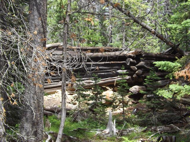 DSCF4211.JPG