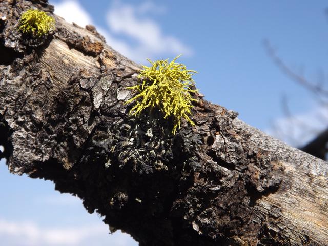 DSCF4227.JPG