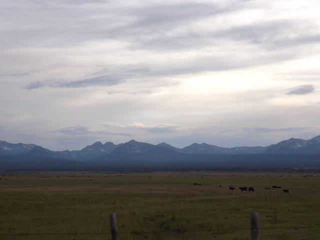 DSCF4272.JPG