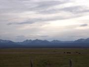 DSCF4272.JPG