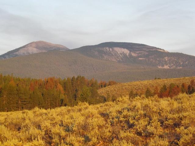 DSCF4286.JPG