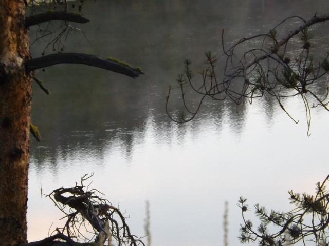 DSCF4295.JPG