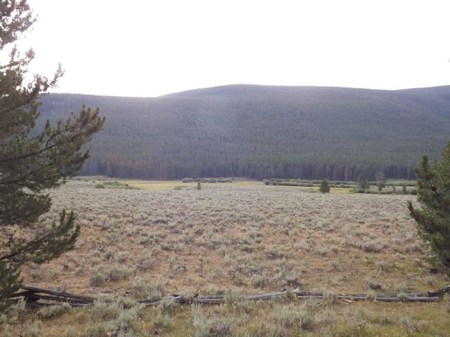 DSCF4298.JPG