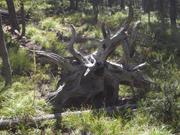 DSCF4317.JPG