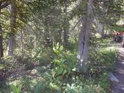 DSCF4327.JPG