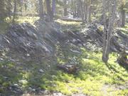 DSCF4334.JPG