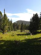 DSCF4343.JPG