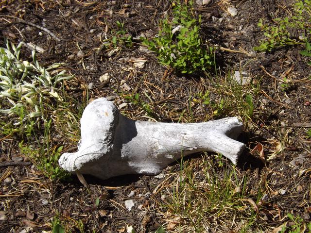 DSCF4349.JPG