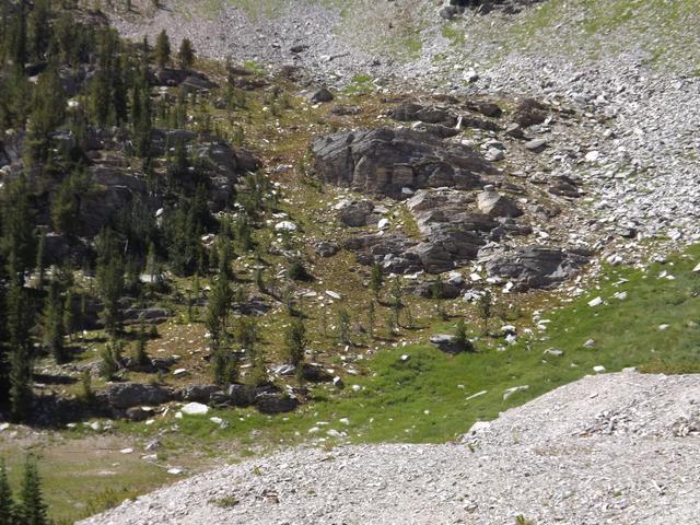 DSCF4382.JPG