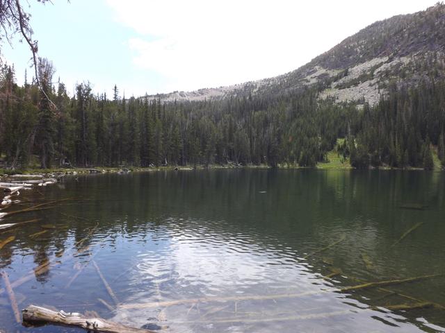 DSCF4401.JPG