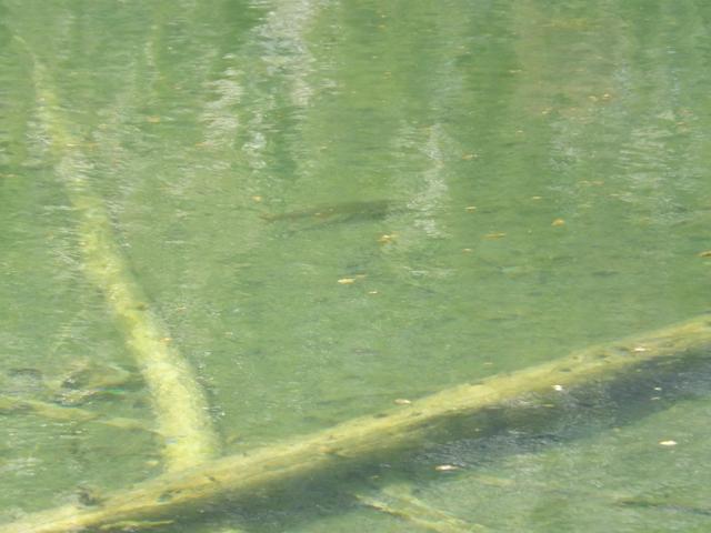DSCF4406.JPG