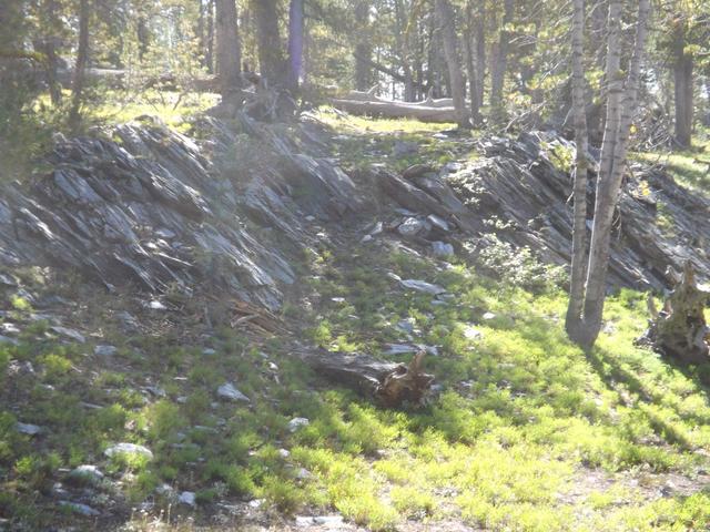 DSCF4334.JPG