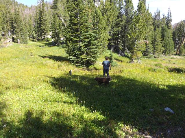 DSCF4342.JPG