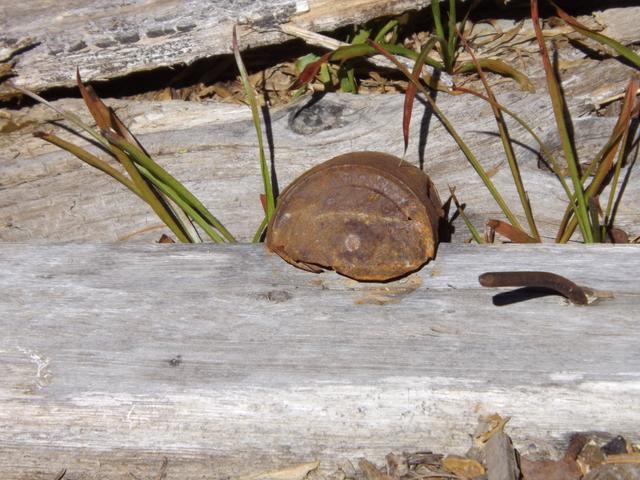 DSCF4361.JPG