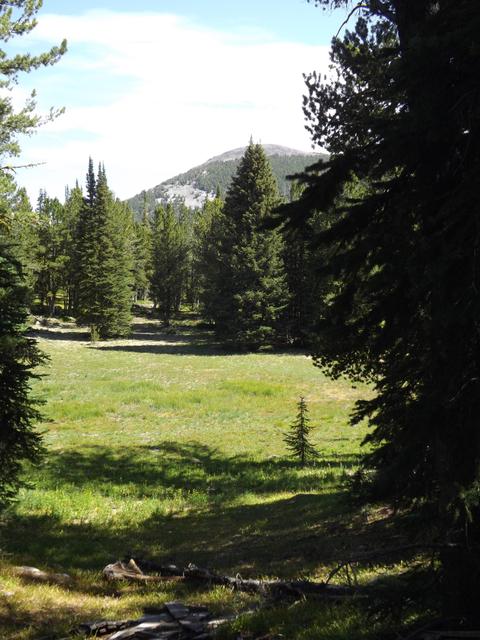 DSCF4365.JPG