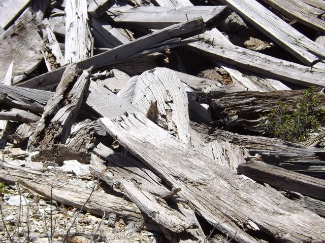 DSCF4380.JPG