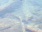 DSCF4388.JPG