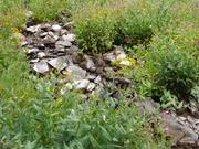 DSCF4417.JPG