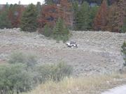 DSCF4424.JPG