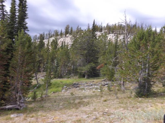 DSCF4436.JPG