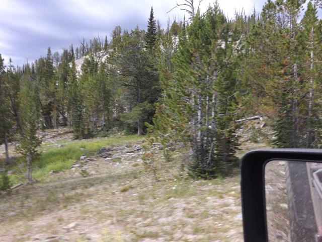 DSCF4437.JPG