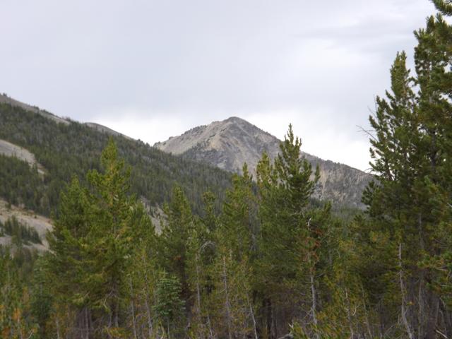 DSCF4448.JPG