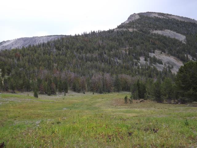 DSCF4450.JPG