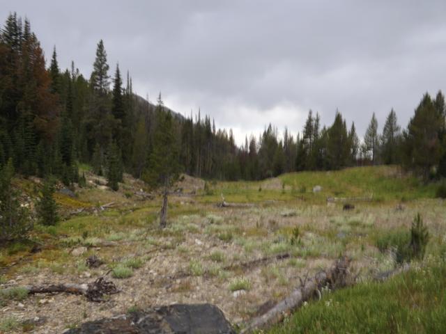 DSCF4453.JPG