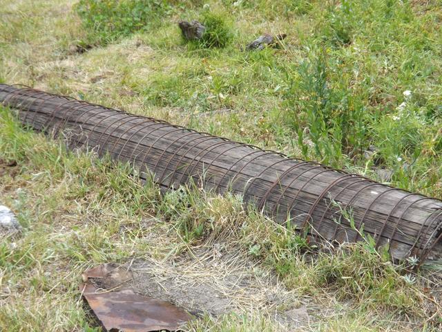 DSCF4464.JPG