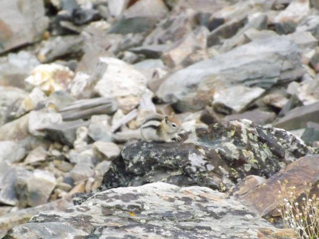 DSCF4495.JPG