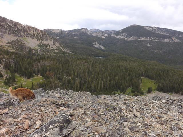 DSCF4501.JPG