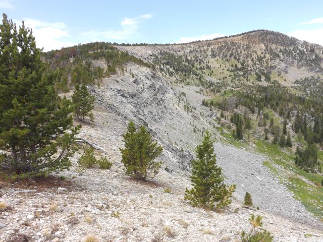 DSCF4506.JPG