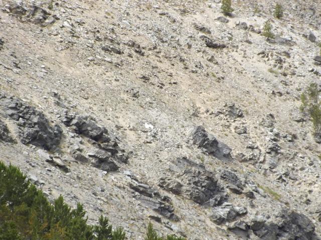 DSCF4509.JPG