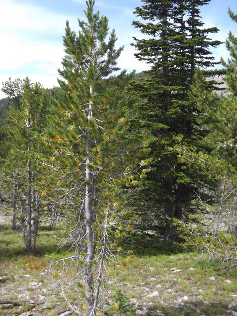 DSCF4510.JPG