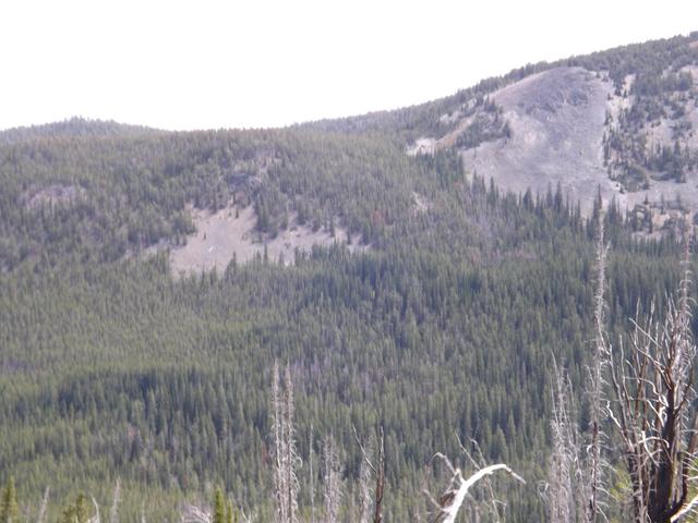 DSCF4514.JPG