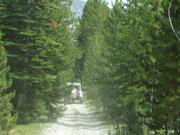 DSCF4517.JPG