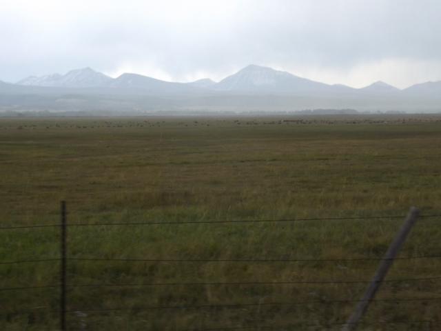 DSCF4529.JPG
