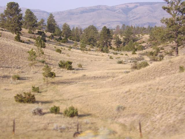 DSCF4556.JPG