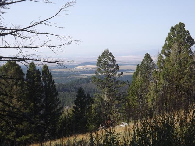DSCF4572.JPG