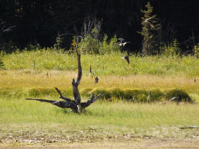 DSCF4584.JPG