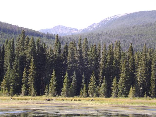 DSCF4586.JPG
