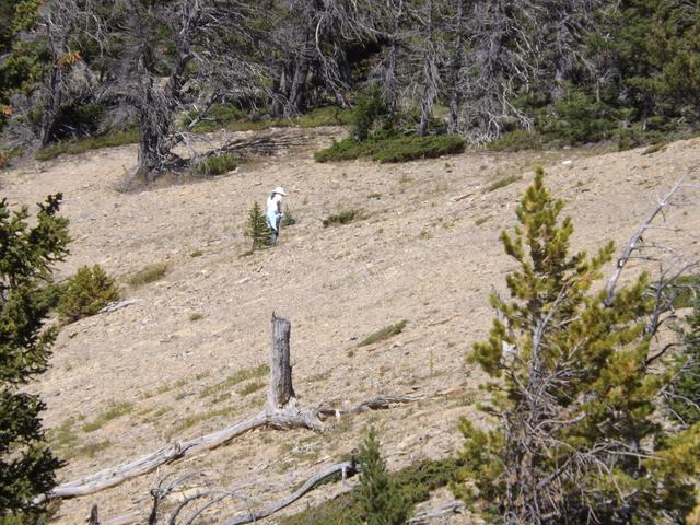 DSCF4674.JPG