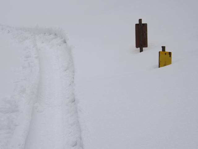 DSCF6166.JPG