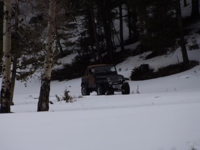 DSCF6171.JPG