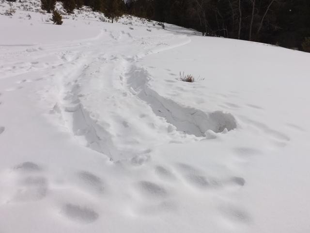 DSCF6233.JPG