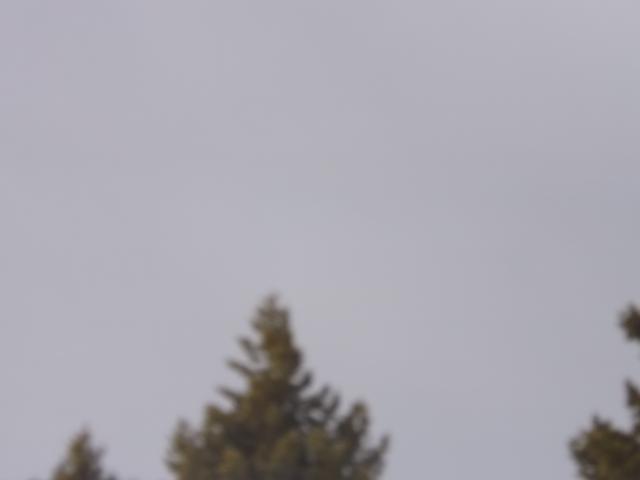 DSCF6237.JPG