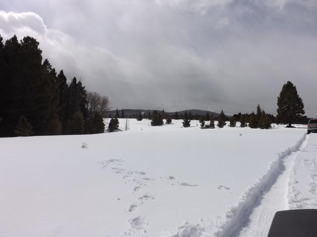DSCF6242.JPG
